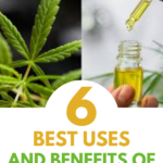 6 Best Uses And Benefits Of CBD Oil