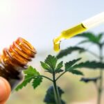 is cbd oil safe to use