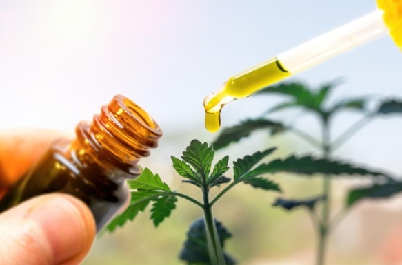 is cbd oil safe to use