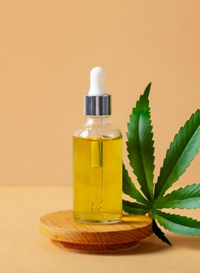 Everything You Need to Know About CBD for Pets